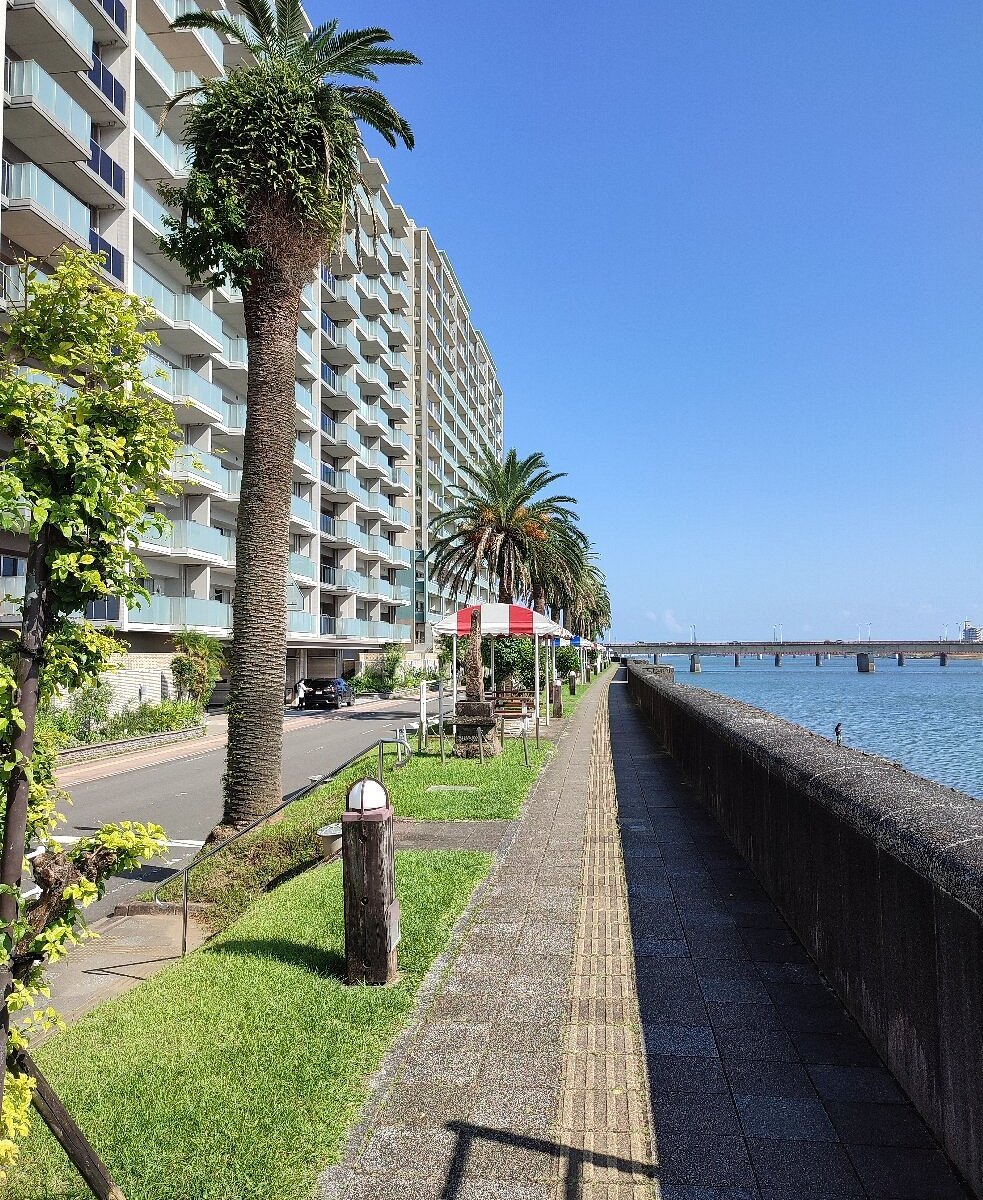 🏞️ 타치바나 공원 이미지 4